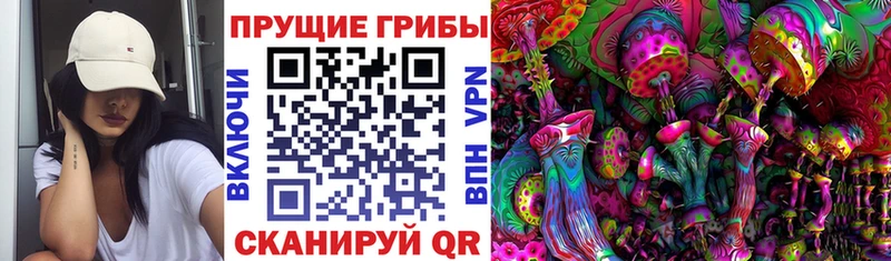 купить наркотики цена  Аркадак  Псилоцибиновые грибы мухоморы 